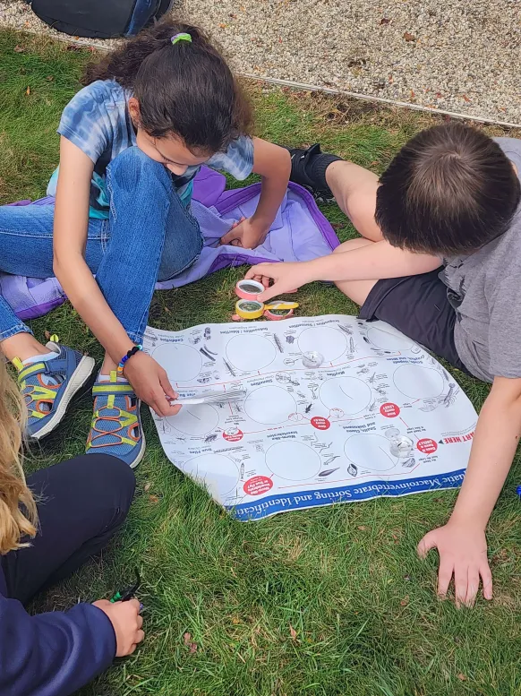 Students looking at an interactive specimen identification board for bugs.